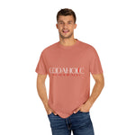 Load image into Gallery viewer, Terracotta Godaholic Unisex Garment-Dyed T-shirt